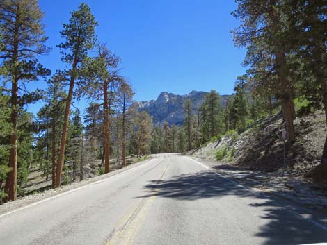 Lee Canyon Road