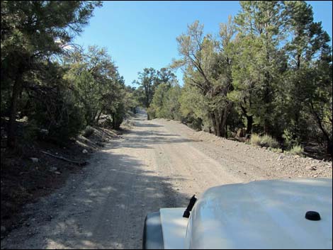 Mack's Canyon Road