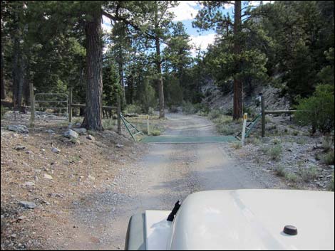 Mack's Canyon Road