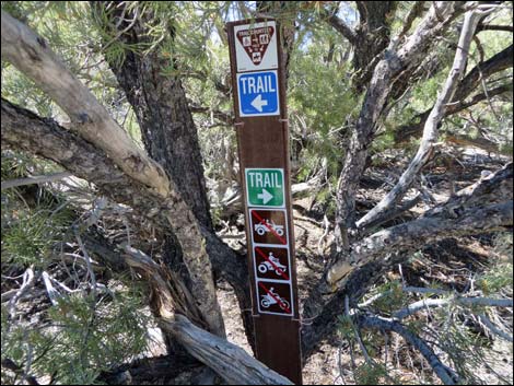 Big Sawmill Loop Trail