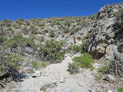 Rocky Gorge Loop Trail