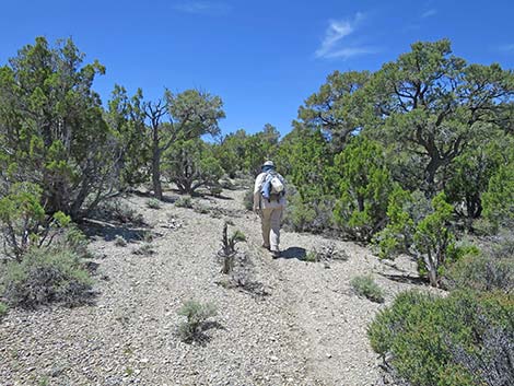 Rocky Gorge Loop Trail