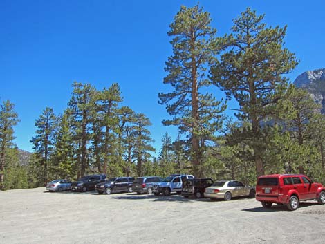 Lower Bristlecone Trailhead