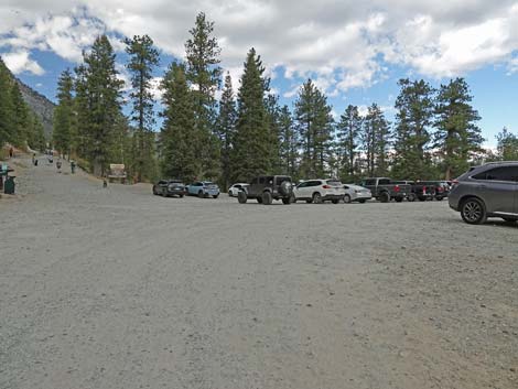 Lower Bristlecone Trailhead