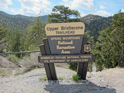 Upper Bristlecone Trailhead