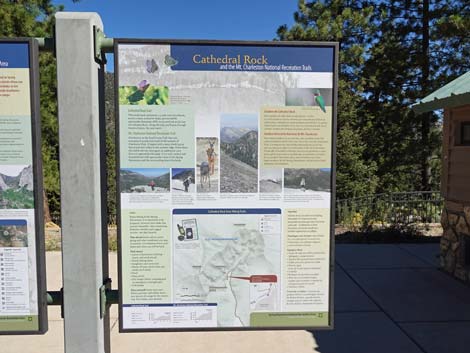 Cathedral Rock Trailhead