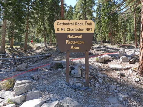 Cathedral Rock Trail