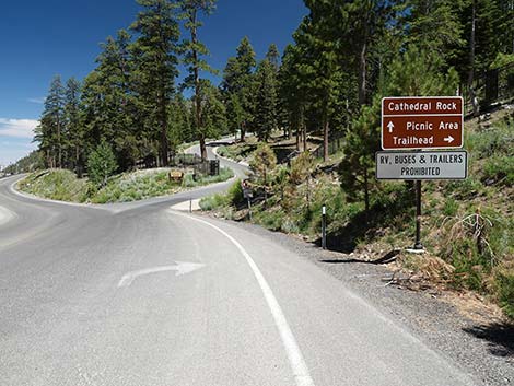 Cathedral Rock Trailhead