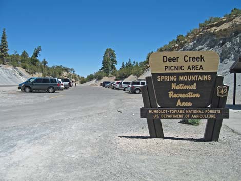 Deer Creek Trailhead