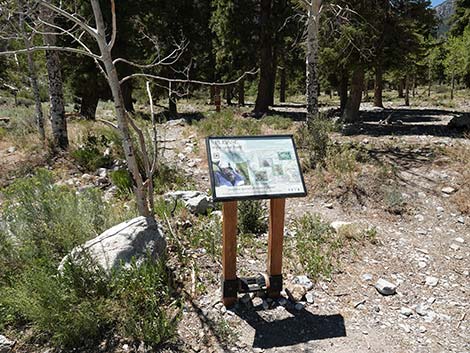 Echo Trailhead