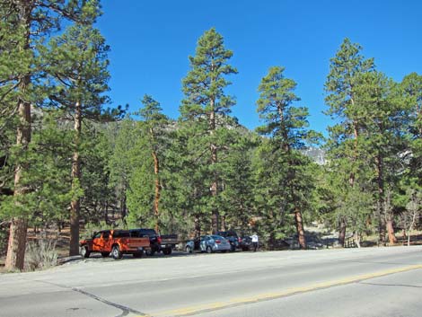 Fletcher Canyon Trailhead