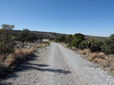 Gravel Pit Trailhead