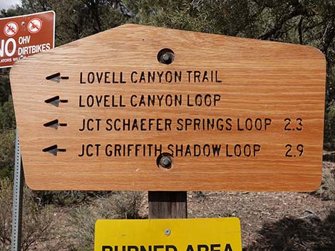 Lovell Canyon Trail