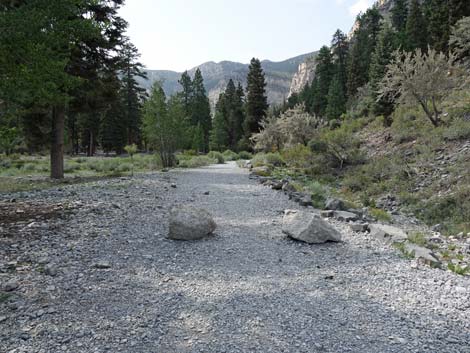 Mary Jane Falls Trailhead