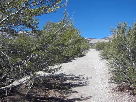 North Loop Trailhead