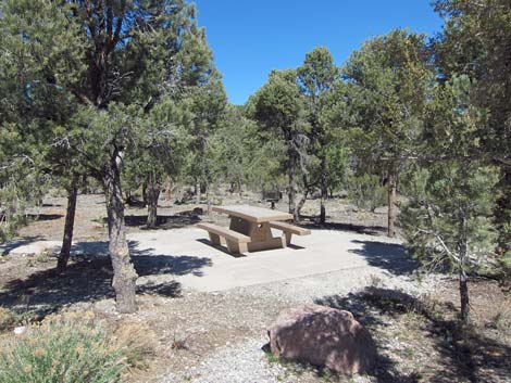 Sawmill Trailhead