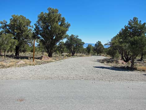 Sawmill Trailhead