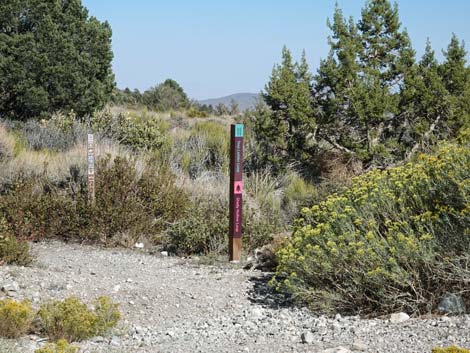 Step Ladder Trailhead