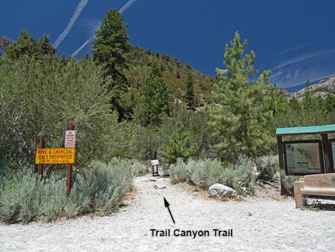 Trail Canyon Trailhead