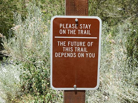 Trail Canyon Trailhead