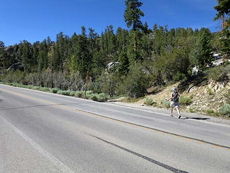 Wildhorse Loop Trail