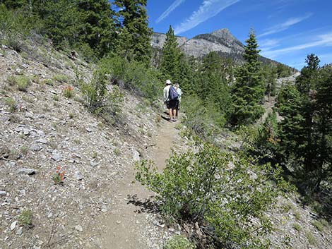 Wildhorse Loop Trail