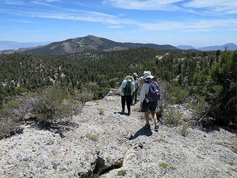 Wildhorse Loop Trail