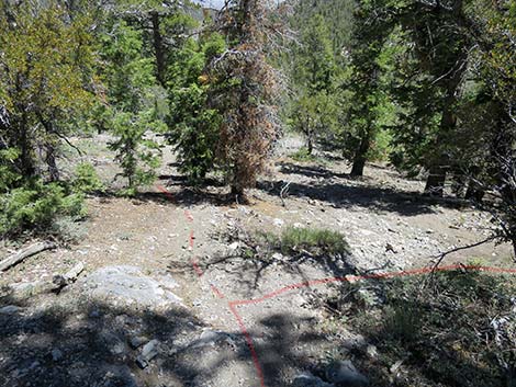 Wildhorse Loop Trail