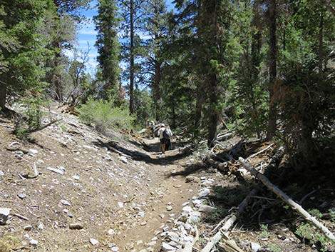 Wildhorse Loop Trail