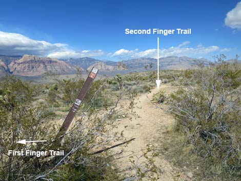 Second Finger Trail