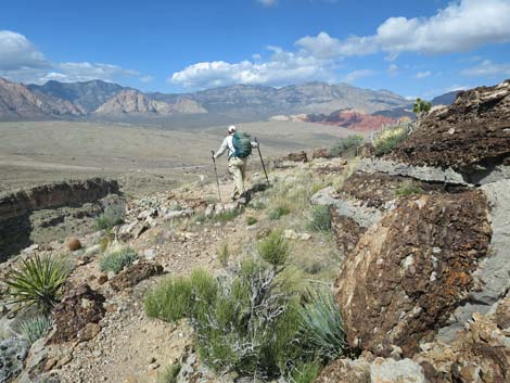 Second Finger Trail