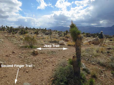 Second Finger Trail