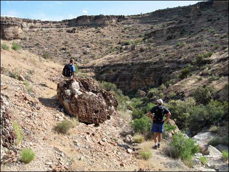 Cave Canyon