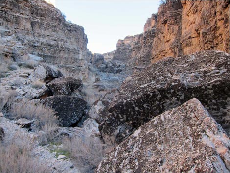 Desert Cave