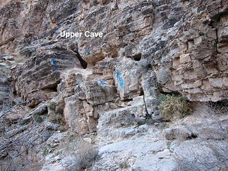 Upper Desert Cave