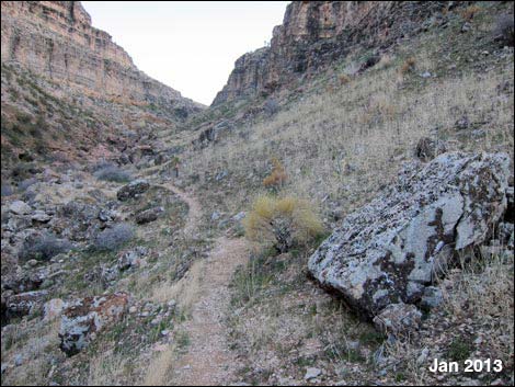 Fossil Canyon Loop