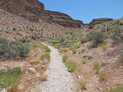 Fossil Canyon Loop