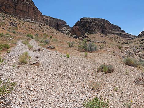 Fossil Canyon