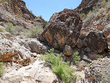 Fossil Canyon Loop