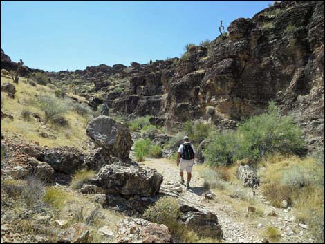 Fossil Canyon