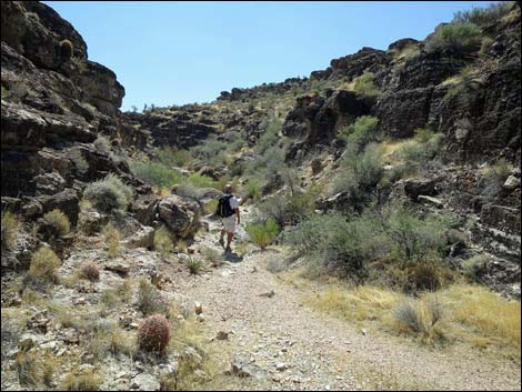 Fossil Canyon