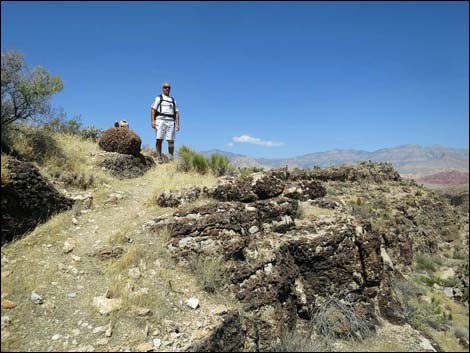 Fossil Canyon