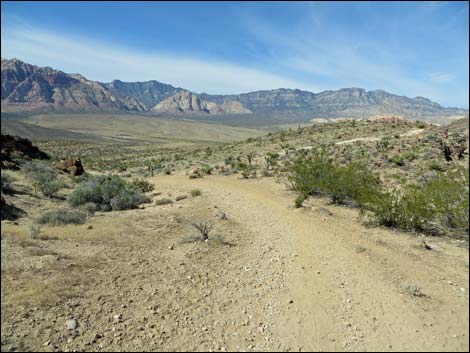 Fossil Trail