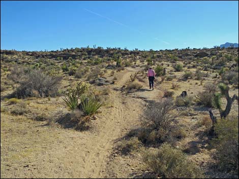 Fossil Trail