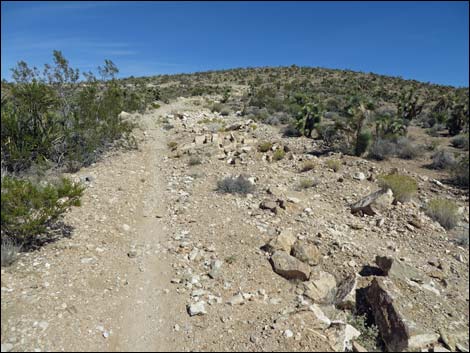 Jeep Trail