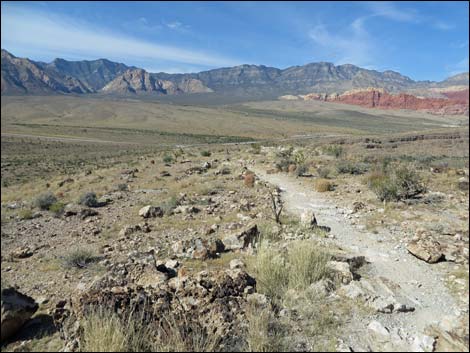 Fossil Canyon Loop