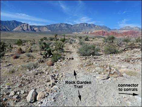 Rock Garden Trail