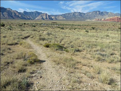 Rock Garden Trail