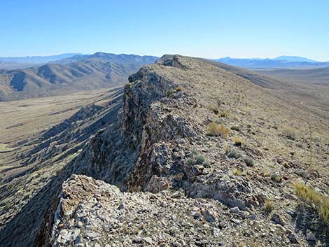 Birdspring Peak