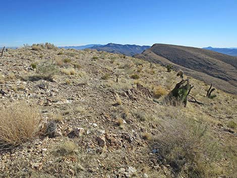 Birdspring Peak